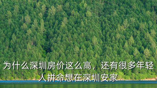 深圳國際花園城市怎么這么難笑,為什么深圳房價這么高