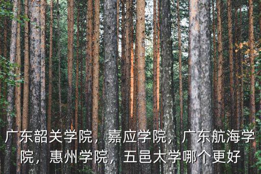 韶關(guān)大學(xué)宿舍怎么樣,韶關(guān)學(xué)院怎么樣