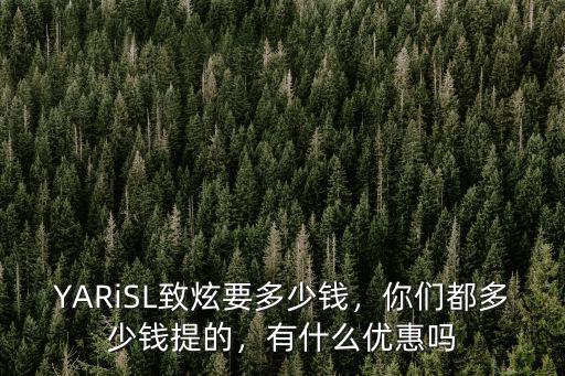YARiSL致炫要多少錢，你們都多少錢提的，有什么優惠嗎