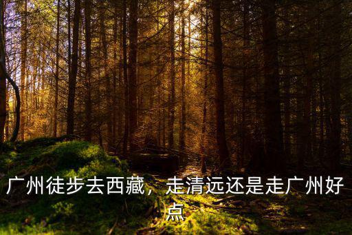 廣州油麻線徒步怎么走,走清遠還是走廣州好點