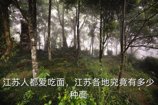 江蘇面條多少錢斤,江蘇各地究竟有多少種面