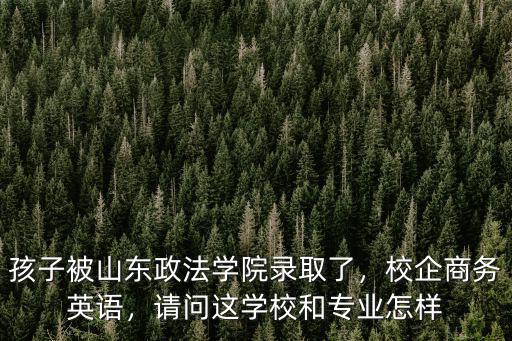 孩子被山東政法學院錄取了，校企商務英語，請問這學校和專業怎樣