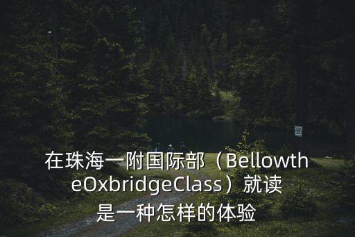 珠海正規(guī)學(xué)校國際部怎么選,在珠海一附國際部
