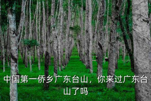 廣東臺(tái)山廣海中國(guó)銀行行號(hào)是多少,中國(guó)第一僑鄉(xiāng)廣東臺(tái)山