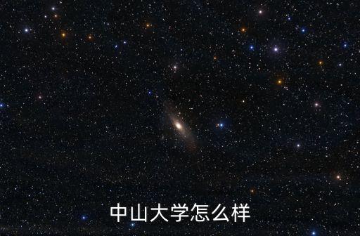 中山大學文博專業(yè)學術水平怎么樣,中山大學計算機專業(yè)怎么樣