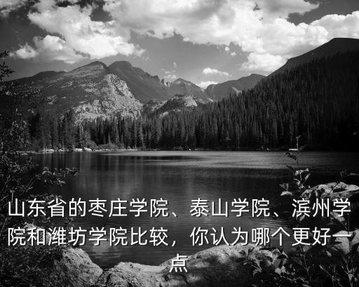 山東省的棗莊學院、泰山學院、濱州學院和濰坊學院比較，你認為哪個更好一點