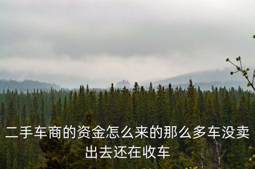 廣州車販在哪里收車,如何快速獲得廣州車牌
