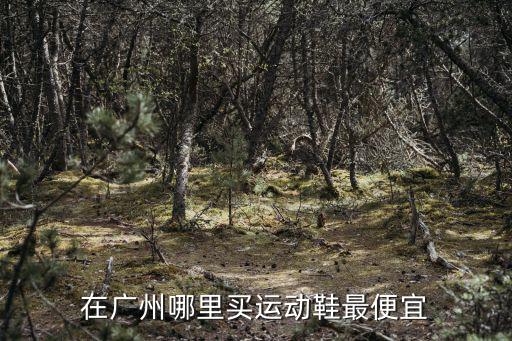 在廣州哪里買運動鞋最便宜