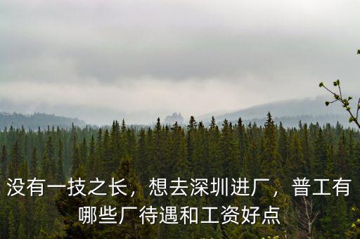 沒有一技之長，想去深圳進廠，普工有哪些廠待遇和工資好點