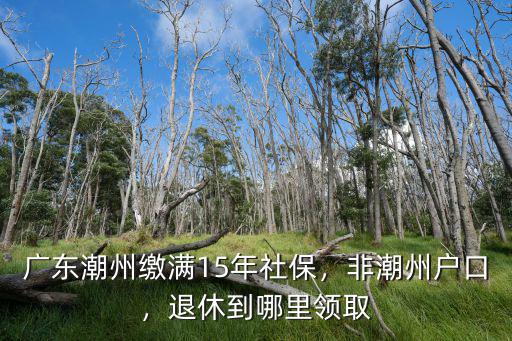 廣東潮州繳滿15年社保，非潮州戶口，退休到哪里領(lǐng)取