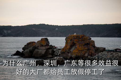 廣東外貿員工現在怎么樣了,為什么現在外貿招人難