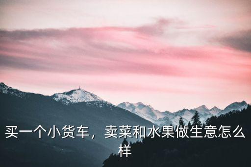 買一個小貨車，賣菜和水果做生意怎么樣