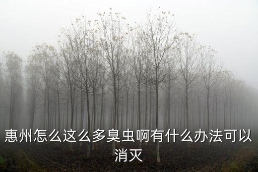 在廣州小臭蟲怎么處理,惠州怎么這么多臭蟲啊