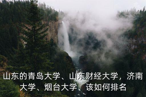 山東的青島大學、山東財經大學，濟南大學、煙臺大學、該如何排名