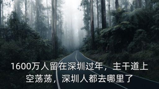 深圳大年三十去哪里了,深圳人都去哪里了