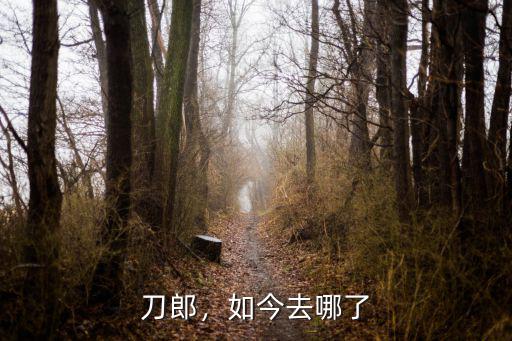 韶關刀郎人生怎么樣,刀郎的音樂到底怎樣