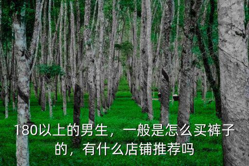 180以上的男生，一般是怎么買褲子的，有什么店鋪推薦嗎