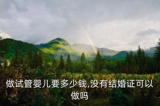 做試管嬰兒要多少錢,沒有結(jié)婚證可以做嗎