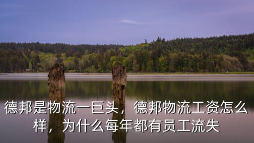南京德邦物流工資多少,德邦是物流一巨頭