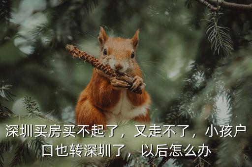 深圳買房買不起了，又走不了，小孩戶口也轉深圳了，以后怎么辦
