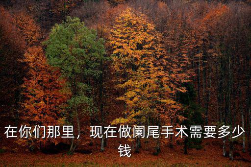 在你們那里，現在做闌尾手術需要多少錢