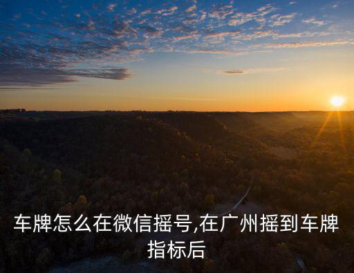廣州車牌怎么在微信搖號,在廣州搖到車牌指標后