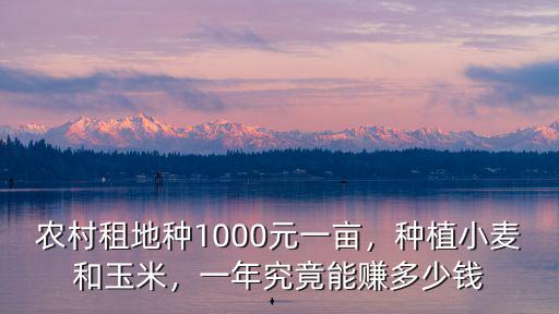 深圳橫崗包地多少錢一畝,去農村承包地多少錢一畝合適