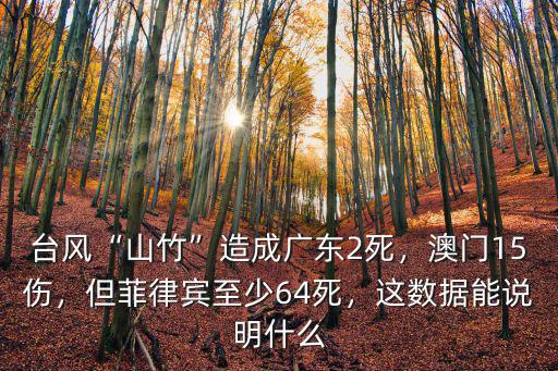 臺風“山竹”造成廣東2死，澳門15傷，但菲律賓至少64死，這數據能說明什么