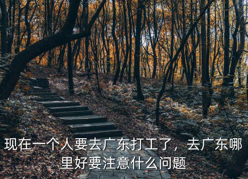 現在一個人要去廣東打工了，去廣東哪里好要注意什么問題