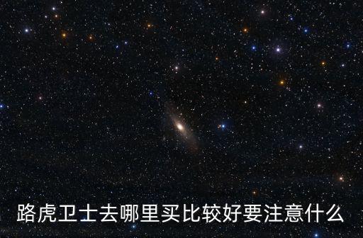 廣州哪里可以買到路虎衛士,x5和路虎衛士