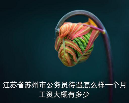 江蘇省蘇州市公務(wù)員待遇怎么樣一個月工資大概有多少