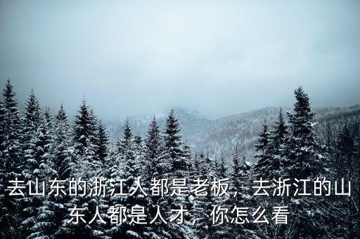 去山東的浙江人都是老板，去浙江的山東人都是人才，你怎么看