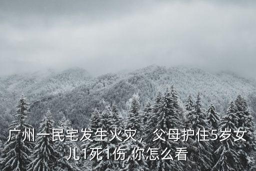 廣州哪里火災了,廣州民房火災