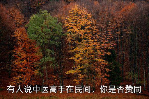 有人說中醫(yī)高手在民間，你是否贊同