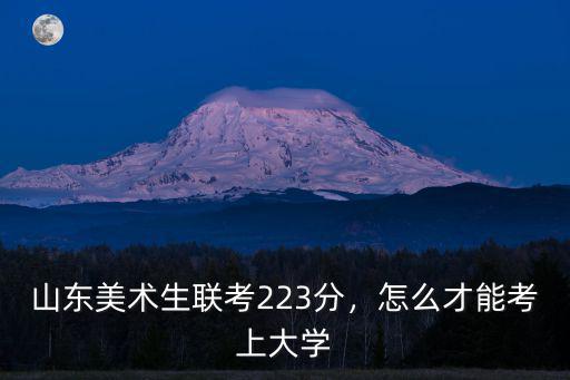 山東美術生高考多少分能上大學,山東美術生聯考223分