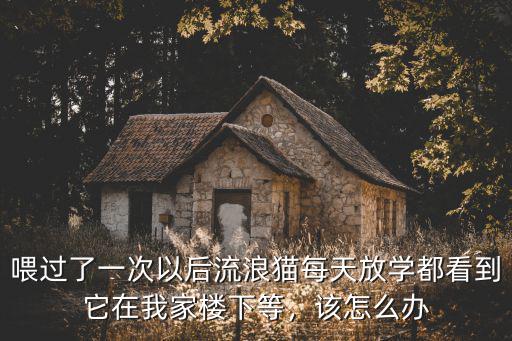 喂過了一次以后流浪貓每天放學(xué)都看到它在我家樓下等，該怎么辦