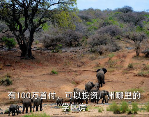 有100萬首付，可以投資廣州哪里的學區房