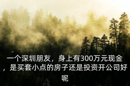 一個深圳朋友，身上有300萬元現金，是買套小點的房子還是投資開公司好呢