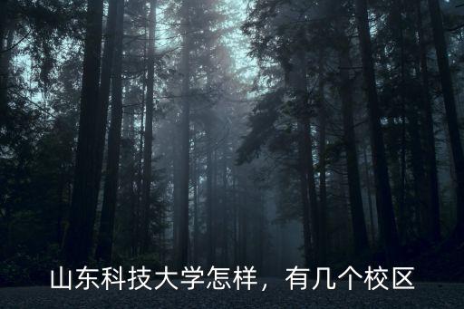 山東科技大學網排多少時間,山東科技大學在山東排名多少