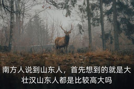 在深圳有多少山東人,南方人說到山東人