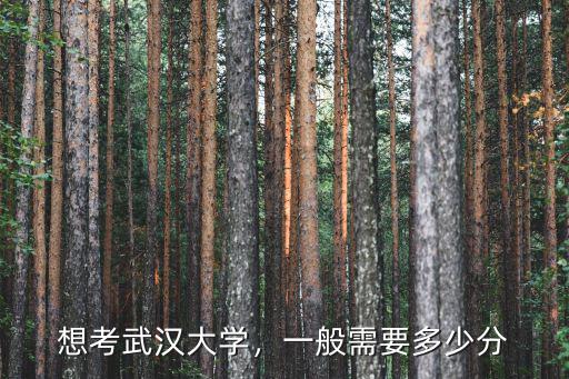武漢大學在山東招生錄取多少分,一般需要多少分