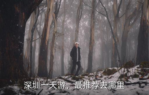 深圳金龜村哪里好玩,深圳農莊哪里好玩一些