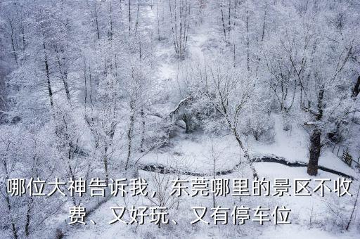 東莞南城哪里可以野餐,東莞南城一天游攻略