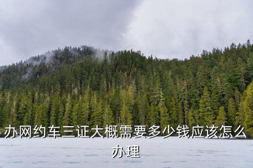 南通網約車辦理需要多少錢啊,辦網約車三證大概需要多少錢