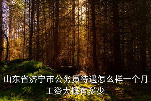 濟寧護士一個月工資多少,一個月工資大概有多少