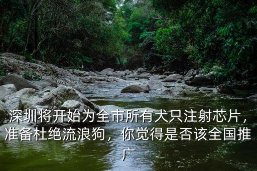 深圳流浪狗 怎么,準備杜絕流浪狗