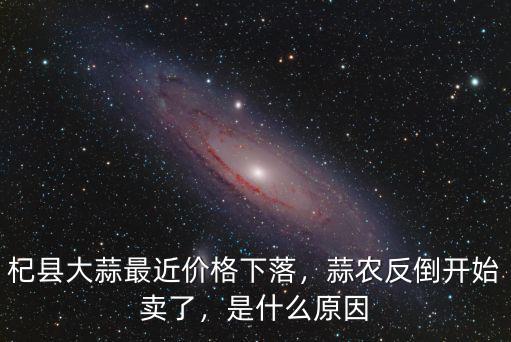 山東什么地方產大蒜什么價格是多少,什么地方盛產大蒜
