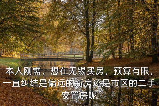 本人剛需，想在無錫買房，預算有限，一直糾結是偏遠的新房還是市區(qū)的二手安置房呢