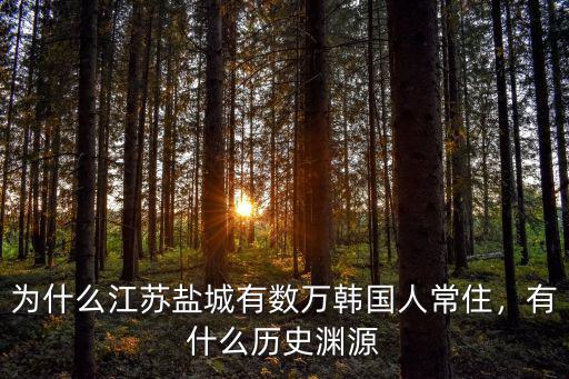 江蘇對(duì)鹽城的投資有多少,江蘇有多少溫州投資商