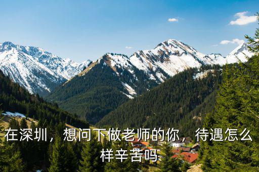 深圳中學(xué)師資待遇怎么樣,教師待遇怎么樣
